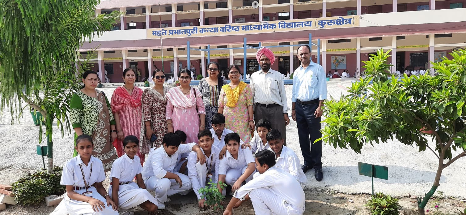 Planting in School