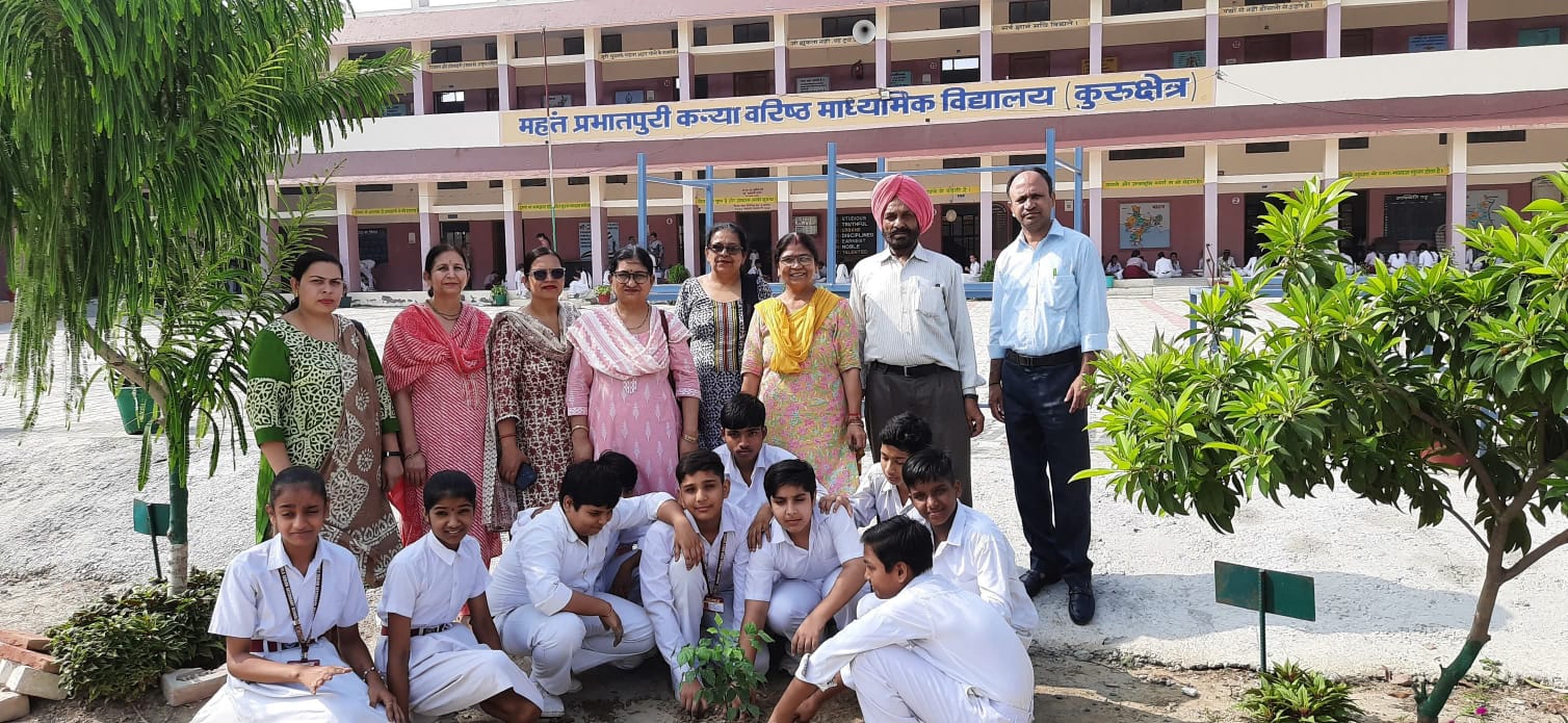 planting on the school field